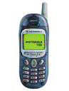 Best available price of Motorola T190 in Austria