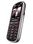 Best available price of Motorola WX288 in Austria
