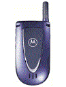 Best available price of Motorola V66i in Austria